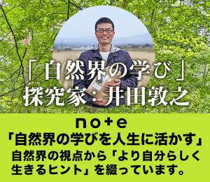 note井田