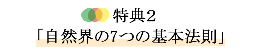 ナチュラルスタイルパートナー特典2